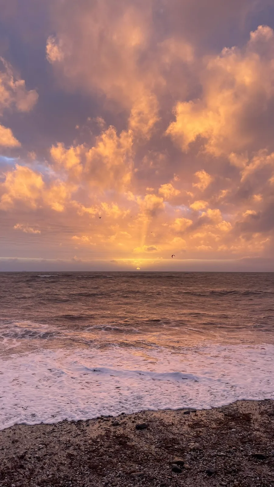 Photographie — Nature