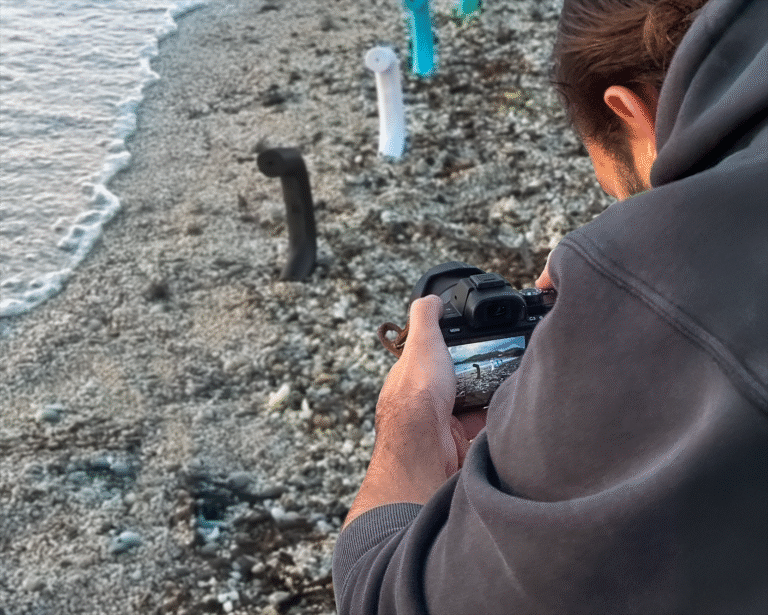 HEAVENGRAB PRISEPHOTO